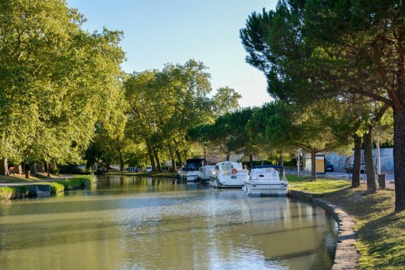 Carnot Chic Daire Carcassonne Dış mekan fotoğraf